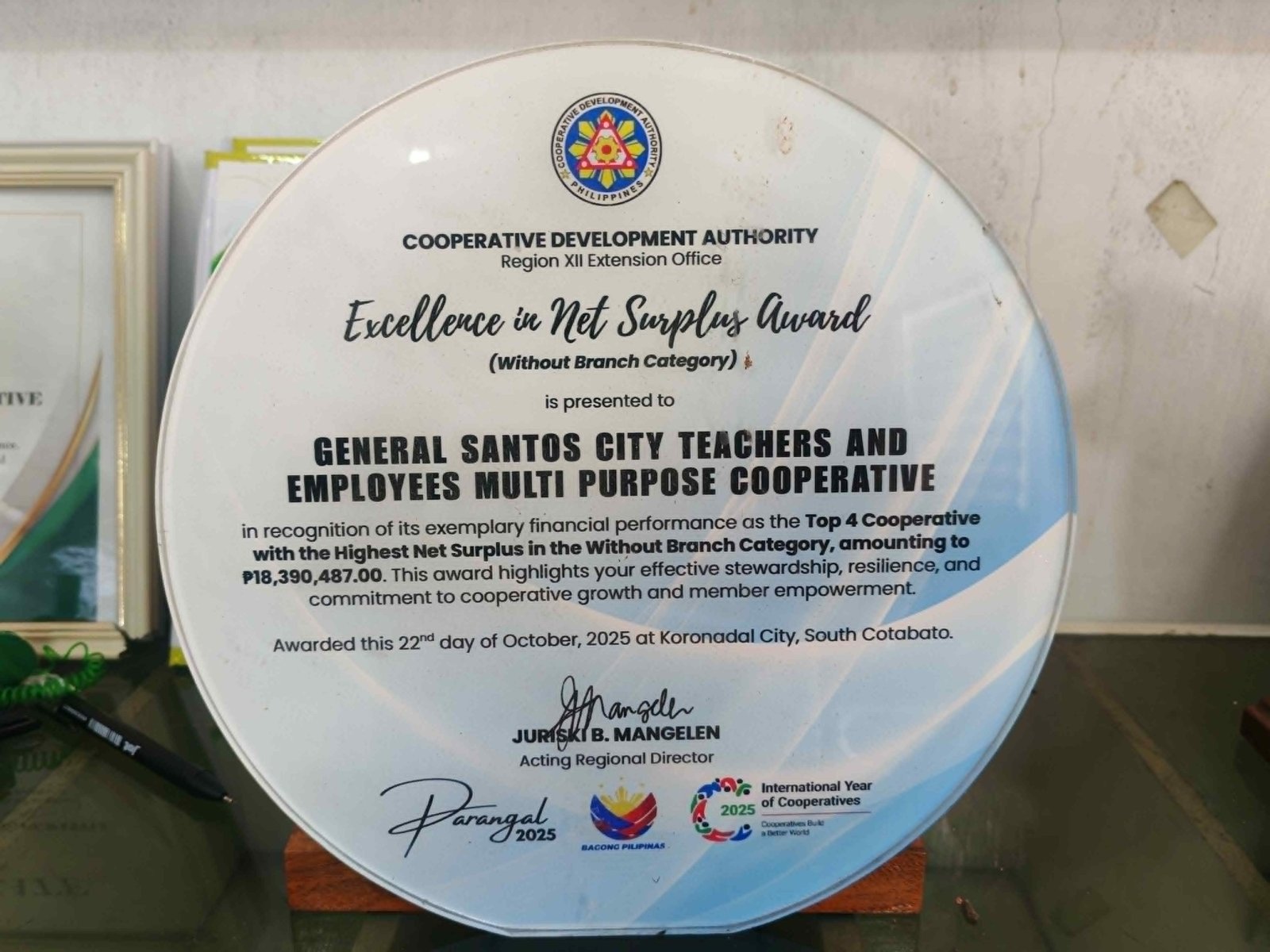 Excellence in Net Surplus Award